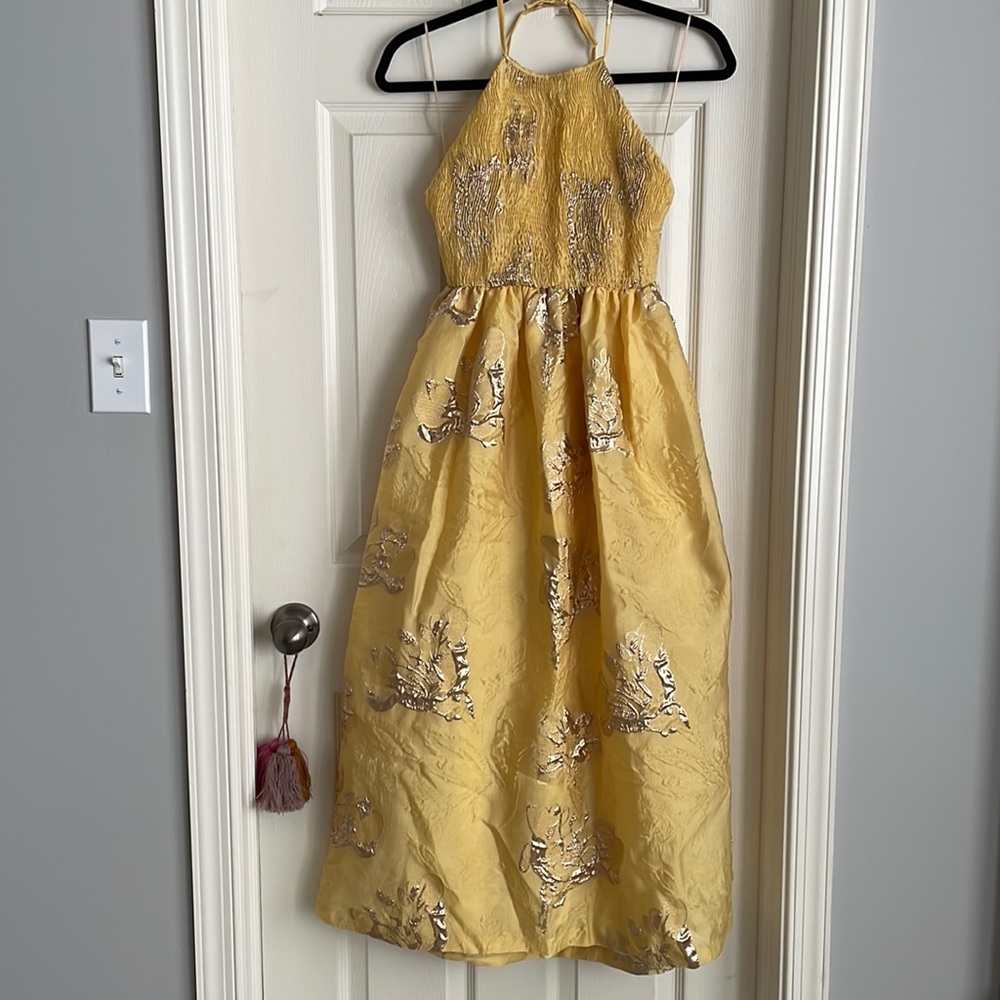 Zara dress